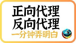 什么是正向代理？什么是反向代理？一分钟最详解答，新手必备，入门教程