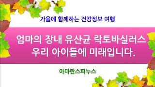 제왕절개로 아이가 태어 났다면, 엄마는 지금 당장 시작하라. 우리 아이의  면역력은 엄마의 장내에 락토바실러스유산균에서 시작된다.