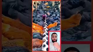 #اكسبلور #اكسبلور #اكسبلور #اكسبلور