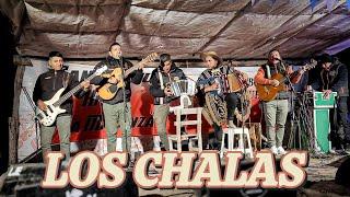 LOS CHALAS - PISTA LOS AMIGOS, PAMPA AVILA 2024 (Primer Aniversario)