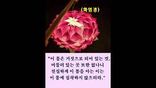 #화엄경# #김이현 定慧#禪어록,#참선 ,#선불교,#간화선 ,#명상,#수행,#수행#자신과의 만남,