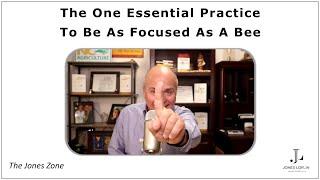 The One Essential Practice To Be As Focused As A Bee