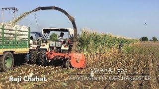 Swaraj855 + Shaktiman Fodder Harvester - FORD3600 + Tarlly  Agriculture Equipment 3