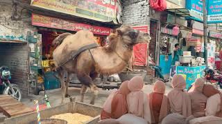  Lahore, Pakistan: 4K Walking Tour on Lively Band Road