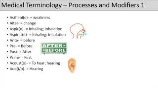 Medical Terminology - The Basics - Lesson 5