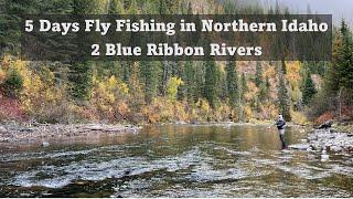 5 Days Fly Fishing on 2 Blue Ribbon Rivers in Northern Idaho