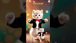 Cat dance video #shorts #yrshorts #dancingcat #cutecat #lovecats #catlover #catsofw #viralvideos