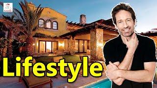 David Duchovny Income, Cars, Houses, Lifestyle, Net Worth and Biography - 2020 | Levevis