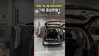 카니발 특장 하이리무진 살때 주의할점 ️