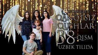 QANOTSIZ QUSHLAR 38 QISM TURK SERIALI UZBEK TILIDA | КАНОТСИЗ КУШЛАР 38 КИСМ УЗБЕК ТИЛИДА