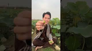 Chân Tình Miền Tây - Lương Minh Đạt