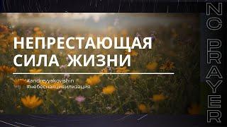 Молитва "Непрестающая сила жизни". Исцеление. Пастор Андрей Яковишин @Nebesnaya_civilizacia