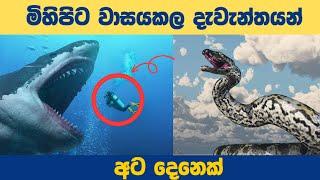 "Unveiling the Legends: Eight Giants Who Once Roamed the Earth | Epic Encounters" | sinhala |