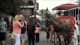 New Orleans Mule Drawn Carriage Tours