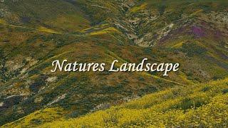 Nature's Landscape | A Visual Odyssey of Nature's Grandeur (Excerpt)