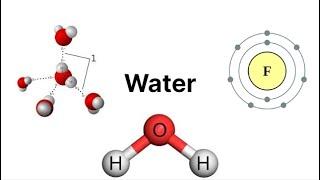 A Guide On Water | Biology101