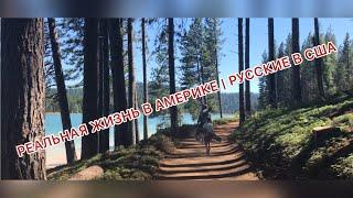 Реальная жизнь в Америке | Русские в США #5