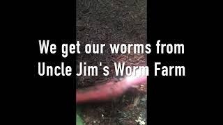 RÊVE worm bin