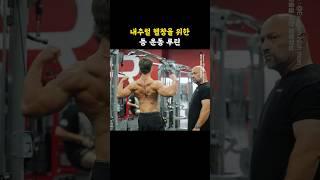 내추럴 헬창을 위한 등 운동 루틴