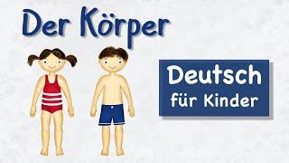 Der Körper