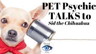 3rd Eye View: Pet Psychic - Talks to Guest Dog Sid