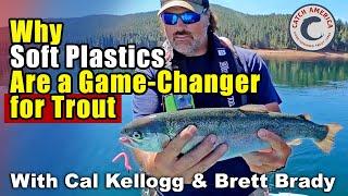 Why Soft Plastics Are a Game Changer for Trout