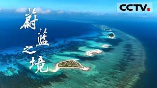 豆瓣评分9.2！媲美BBC的《蔚蓝之境》带你领略“地球脉动”《蔚蓝之境》【CCTV纪录】