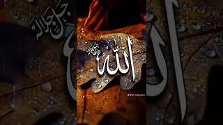 @rsfriends #viralshort #shorts #foryoupage #foryou #goviral #islamicvideo #love