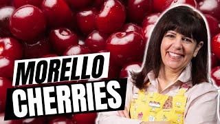 Morello Cherries