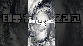 태풍 함부로 오라고 빌지마