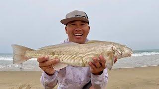 Sight Fishing BIG Corbina [SoCal Surf Fishing]