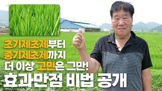 벼 농사 초기제초제 중기제초제 고민끝! 고수의 잡초제거 비결 공개