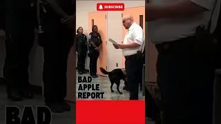 DAILY BAD APPLES