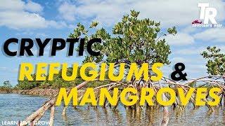 Tristian's Reef: Cryptic Refugium's and Mangroves In the Sump