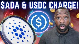 Cardano & USDC Race To DOMINATE New Stablecoin Trend!