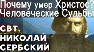 Не отчаивайся над своей Судьбой. Христос умер за Нас! Николай Сербский Свт.