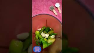 mint leaves chutney | pudina chutney | green chutney #Shorts  by afshan ansari food network.