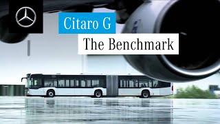 The Citaro G is the Benchmark | Mercedes-Benz Buses