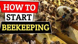 Beekeeping for Beginners   #Beekeeping #Honeybees #Beginner