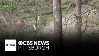 Police searching for more victims of man charged with indecent assault, open lewdness at Pittsburgh