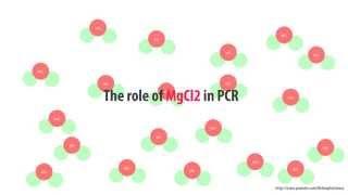 The role of MgCl2 in PCR - simple animated HD