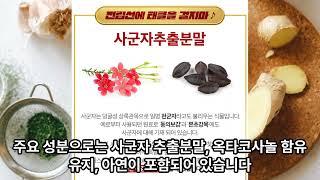 사군자 프리미엄 가격 확인은 꼭 이벤트 홈페이지에