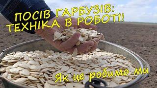 Гарбузовий десант: висадка на свої й братові гектари