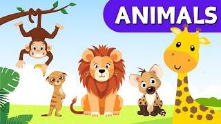 Kids Educational Videos | Kindergarten and Elementary ENGLISH Math SCIENCE | ANIMALS Phonics