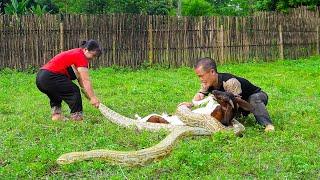 Dwarf Family Rescues Goat Attacked By Giant Python & Catches Loach | Mountain VN Gives Ducks.