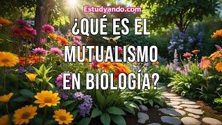 ¿Qué es el Mutualismo en Biología?