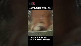 임성근 셰프의 소금 사용법_시간