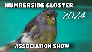 HUMBERSIDE GLOSTER ASSOCIATION SHOW 2024