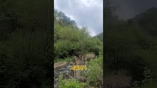 풍경(시골 냇가)