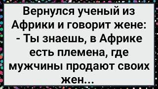 Как Ученый из Африки Вернулся! Большой Сборник Свежих Смешных Жизненных Анекдотов!